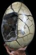 Septarian Dragon Egg Geode With Removable Section #33505-6